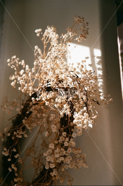 분위기,빈티지,꽃,빛,안개꽃,드라이플라워,식물,자연,plants,nature,꽃,flower,실내용화초,화분,화초,house plant,감성,sensible,feeling,인테리어,실내디자인,interior design