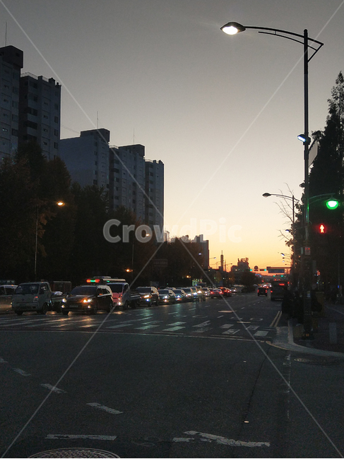 저녁,퇴근시간,교통,노을,가로등,도시