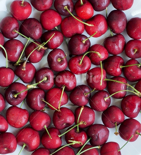 체리,과일,음식,자연,신선함,건강한식생활,유기농,날것,달콤한음식,빨강,배경,cherry,fruit,food,nature,freshness,healthyeating,organic,rawfood,sweetfood,red,background,과일,열매,fruit