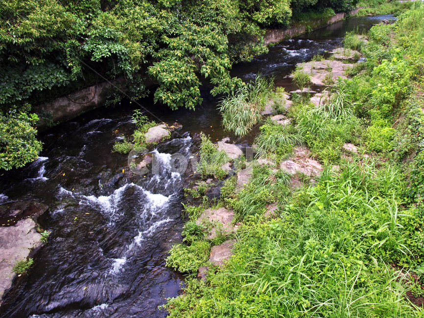 하천,올레6코스,올레길,제주,서귀포시,서복공원,자연,풍경,nature,landscape,water,물,outdoors,옥외,stream,흐름,creek,작은 만