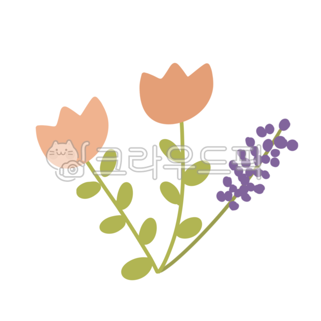 tulip picture,Tulip,flower image,Flower Nokki,spring flowers,flower sticker,flower gift,lavender flower,Planterior,lavender,carnation flower drawing,flower png,Carnation illustration,floral,Flower illustration,lavender drawing,carnation picture,flower pat