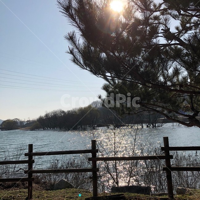 자연,풍경,햇살,호수,물,공원