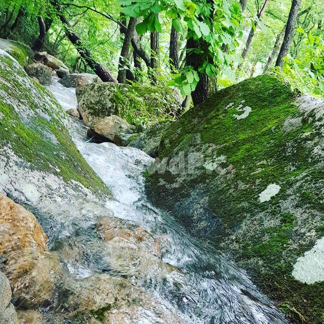 water,nature,outdoors,물,자연,자연,풍경,nature,landscape,옥외