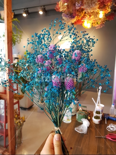 드라이플라워,플라워,꽃,프리저브드플라워,프리저브드,꽃,flower