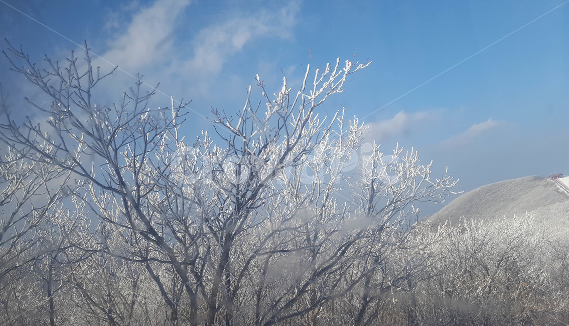 하늘,눈꽃,나무,구름,겨울,겨울,계절,winter,season,자연,풍경,nature,landscape,outdoors,옥외