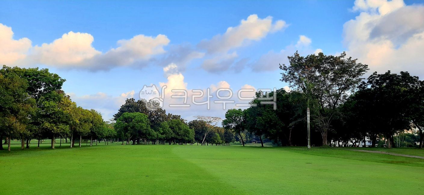 field,golf course,fairway,Indonesia Golf,overseas golf,golfcourse,Southeast Asia Golf