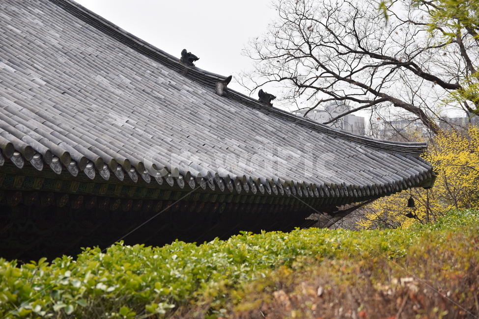 절,처마,지붕,한국전통,기와,한국문화,koreanculture,koreantraditional