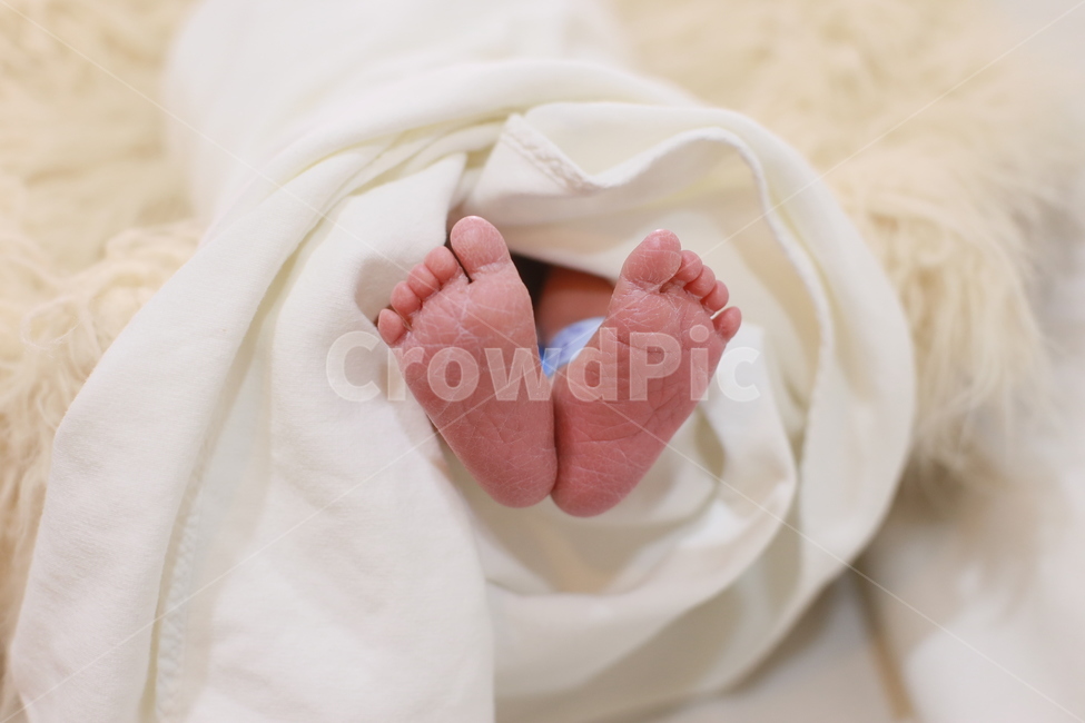 신생아,아기발,아기,발,출산,사람,인물,인간,human,person,영유아,아기,애기,아이,infants,baby