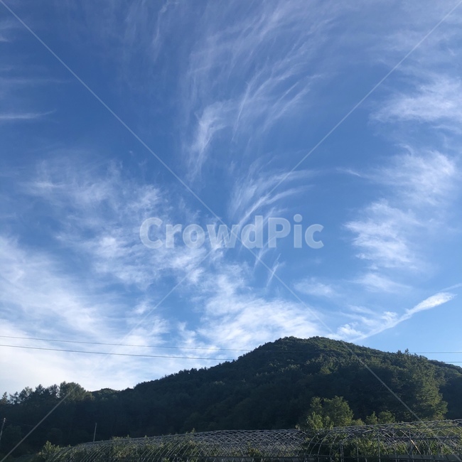 구름,자연,나무,하늘,파란하늘,맑은하늘,풍경