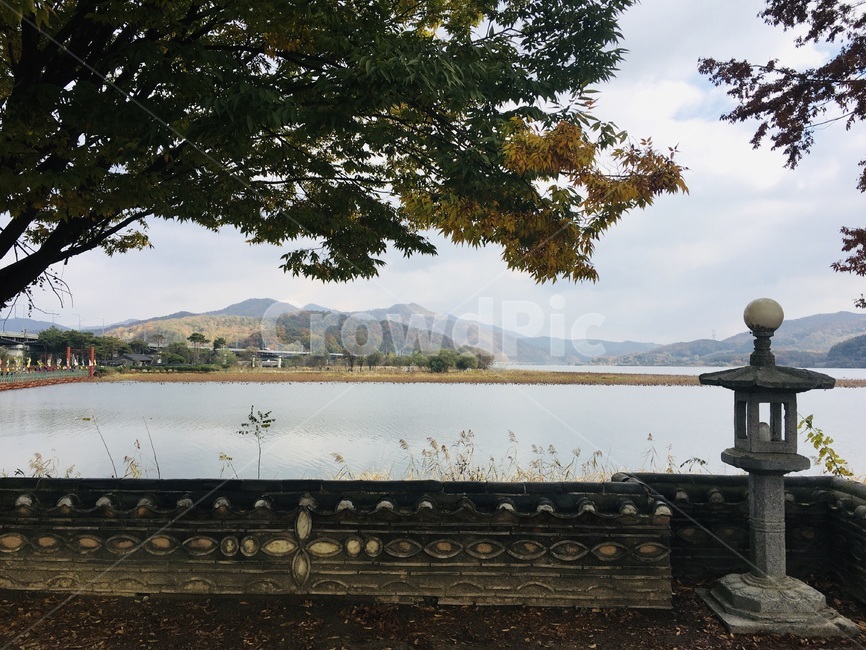호수,lake,water,물,나무