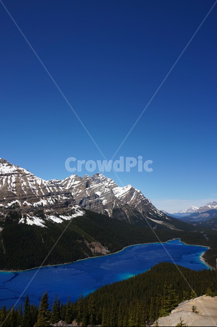 페이토호수,호수,캐나다,설산,canada,알버타주,자연,풍경,nature,landscape,해외,외국,세계,foreign,oversea,world,세계자연풍경,해외자연풍경,외국자연풍경,world nature landscape,outdoors,옥외,mountain,산,mountain range,산맥,ice,빙