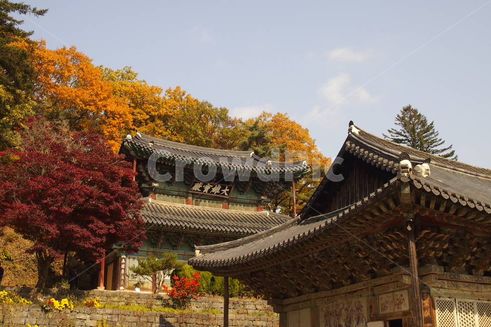 마곡사,사찰,단풍,건축물,architecture,building,건물,temple,신전,가을