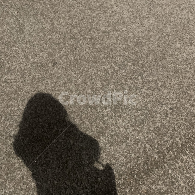 그림자,길,밤,겨울,눈,눈오는길,road,sno,shadow,snowyday