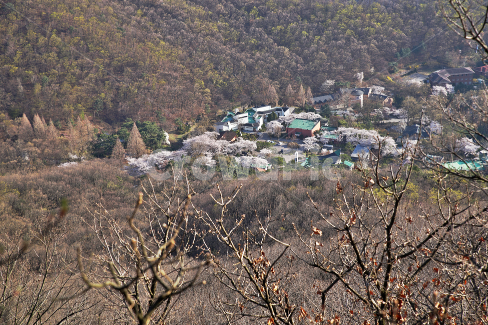모락산,경기도,의왕시,성라자로마을,마을