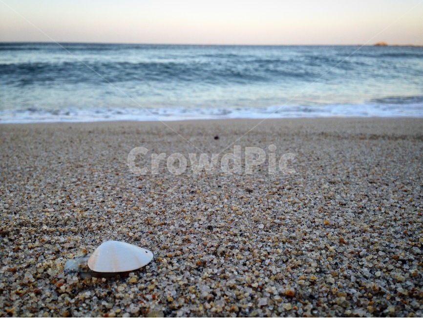 바다,파도,조개껍질,겨울바다,모래사장,외로움,모래,조개,동해,해변,바다,beach,sea
