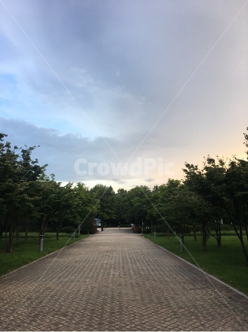 보도,path,sidewalk,walkway,tree,나무,자연,nature