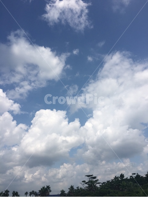 제주도,하늘,구름,제주,맑은하늘,파란하늘,맑은,시원한,바람