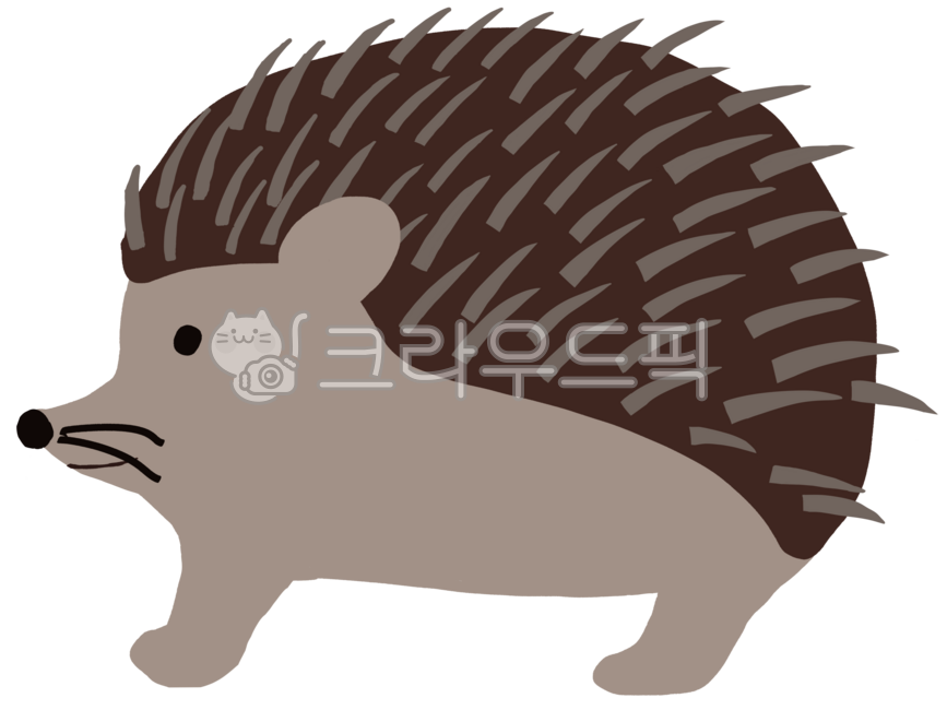 Animal,hedgehog,hedgehog illustration,hedgehog,hedgehog drawing