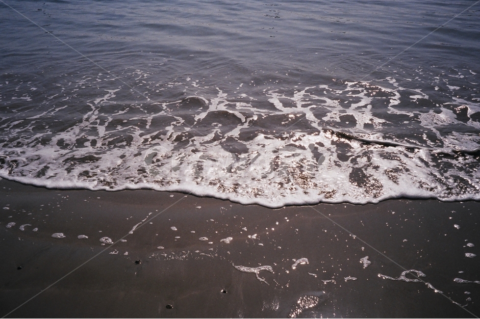 필름,바다,파도,감성,부산,거품,해변,바다,beach,sea