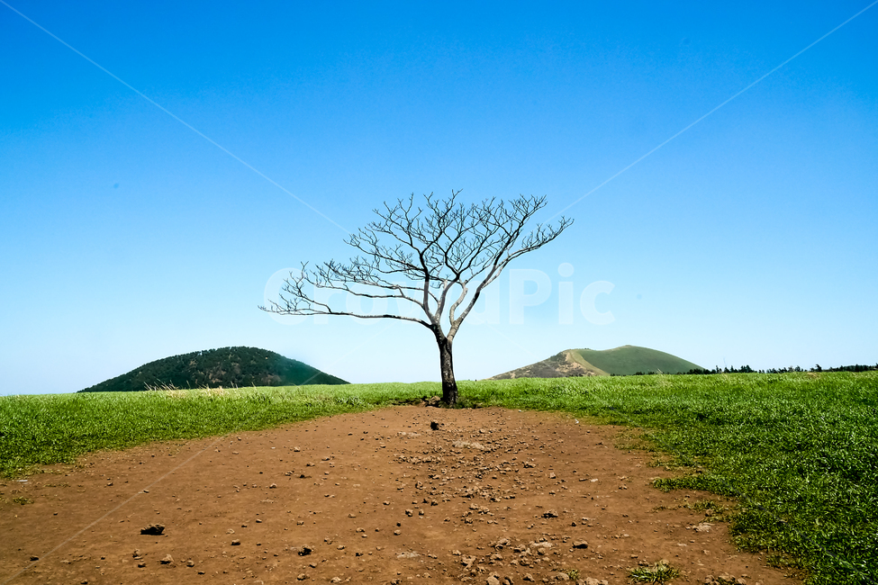 ground,바닥,gravel,자갈,dirtroad,흙길,road,도로