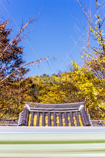 가을,문양,무늬,패턴,전통,단풍,가을,계절,fall,autumn,season,한국전통,한국문화,korean traditional,korean culture,건축물,건물외관,exterior,building,structure,architecture,construction,outdoors,옥외