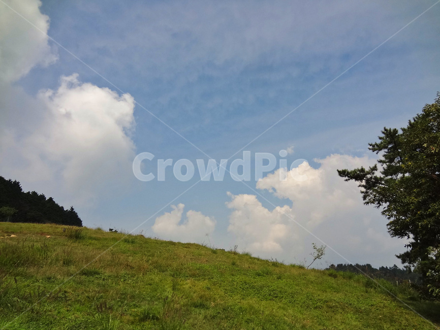 자연,옥외,목초지,들,공원,풀,나무,하늘,구름,날씨,맑음,낮,야외,beautiful,blue,cloud,clouds,day,environment,field,garden,grass,green,hill,korea,landscape,natural,nature,outdoor,park,scenic,sky,spring,summer,tree,view,경치