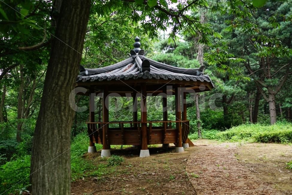 나무,공원,산책로,숲,산,식물,자연,풍경,nature,tree,forest,정자,쉼터,휴식,한옥,여름,summer,녹색,그린,green,color,landscape,계절,season,한국전통,한국문화,korean traditional,korean culture