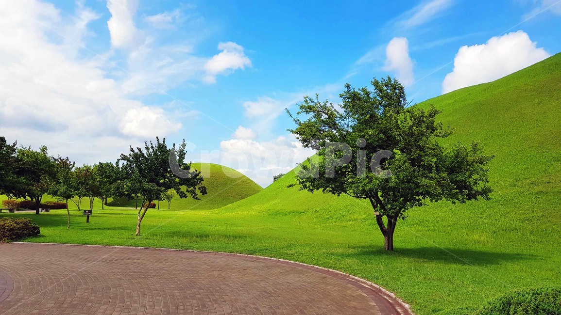 경주,대릉원,풍경,배경,여름,자연,풍경,nature,landscape,한국자연풍경,한국자연경관,korea nature landscape,한국전통,한국문화,korean traditional,korean culture,랜드마크,landmark,tourist attraction,한국랜드마크,한국관광지,한국명소,korea landmark,korea tourist attraction,field,들,grassland,목초지,outdoors,옥외,plant,식물,grass,잔디