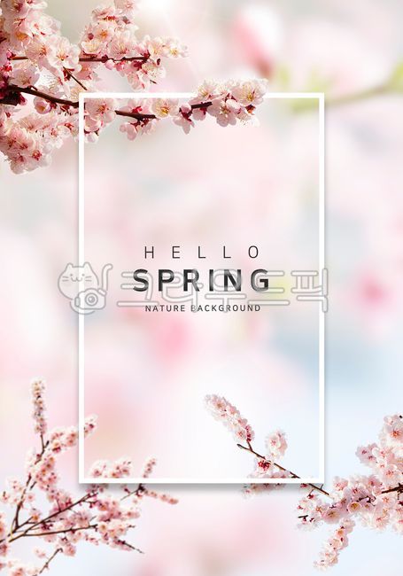 beauty,Spring background,hope,branch,spring,glare,copy space,sight,season,landscape scenery,decoration,warmth,tree,cherry blossom tree,light,Leisure,background,plant,Sunny,template,Cherry Blossom,March,air,title,summer,petal,fallen leaves,event,Communicat