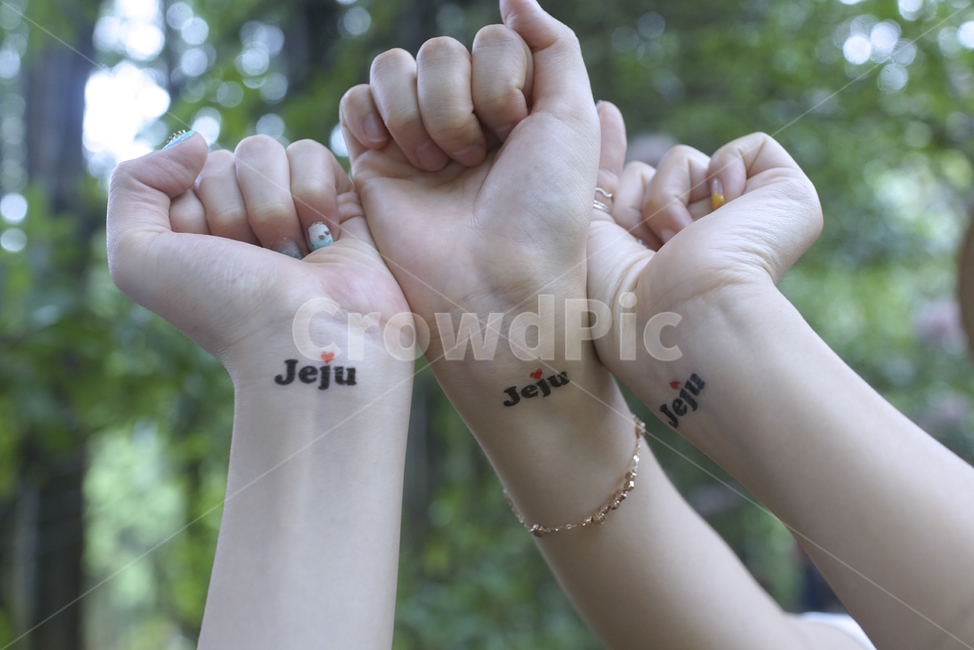 제주,jeju,우정,제주도,손,팔,사람,인물,인간,human,person,신체일부,몸,body,친구,우정,friendship,companion