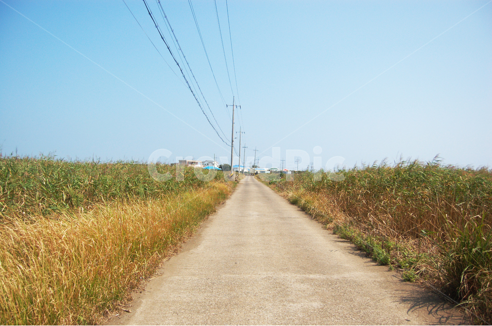 제주,제주도,jeju,섬,올레,길,올레길,여름,자연,풍경,nature,landscape,road,도로,asphalt,아스팔트