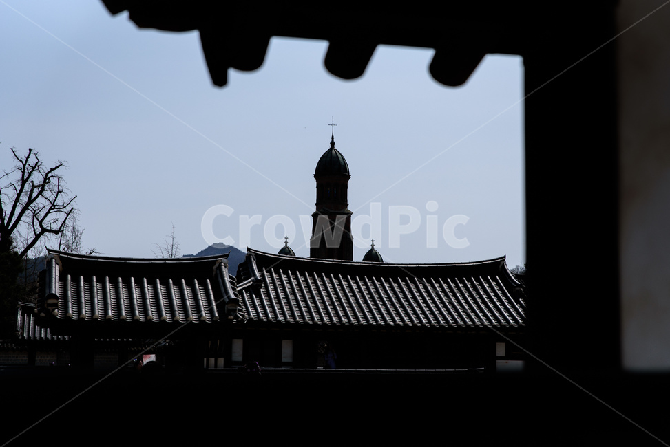 성당,풍경,전통,기와집,전동성당,전주