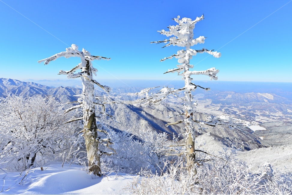 무주덕유산,덕유산설경,덕유산중봉,덕유산상고대,덕유산터줏대감,덕유산주목,nature,자연,mountain,산,mountainrange,산맥,ice,얼음,겨울,계절,winter,season