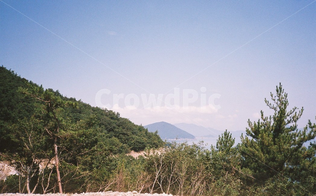 필름,필름사진,film,바다,sea,자연,nature,섬,island,나무,자연,풍경,nature,landscape