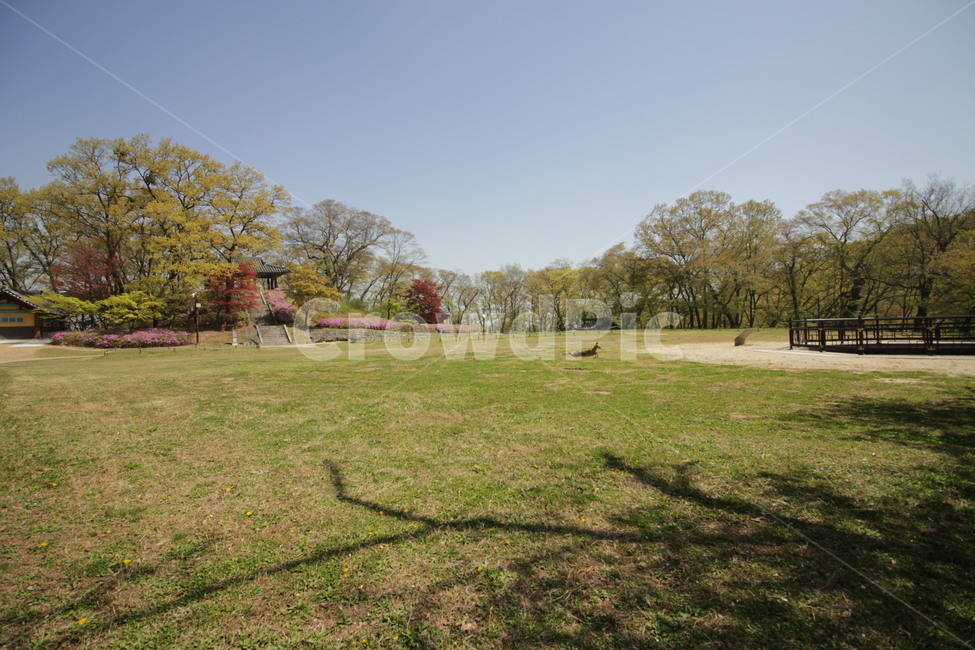 공주,공산성,세계문화유산,쌍수정,문화유산,자연,풍경,nature,landscape,한국자연풍경,한국자연경관,korea nature landscape,plant,식물,grass,잔디,park,공원,outdoors,옥외,lawn