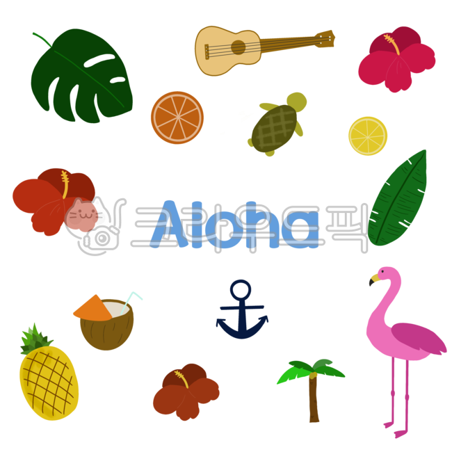 aloha,플라밍고,하와이,거북이,히비스커스,우쿨렐레,파인애플,알로하