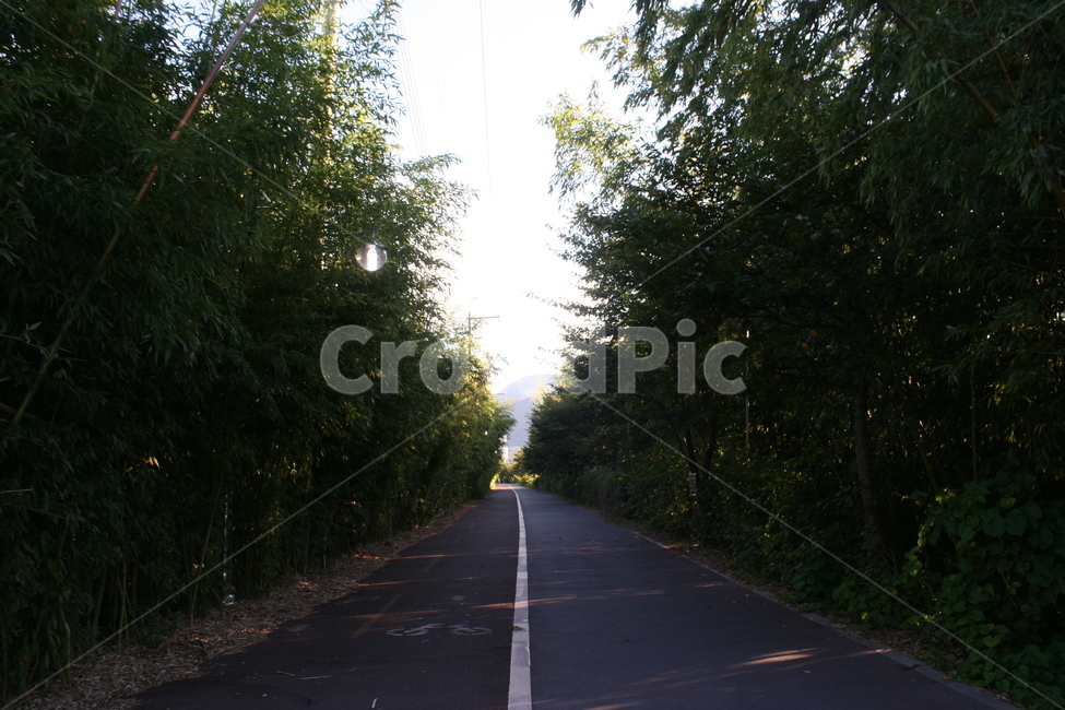 산책로,숲길,좋은길,road,도로,자연,풍경,nature,landscape,asphalt,아스팔트,freeway,고속 도로,highway,고속도로