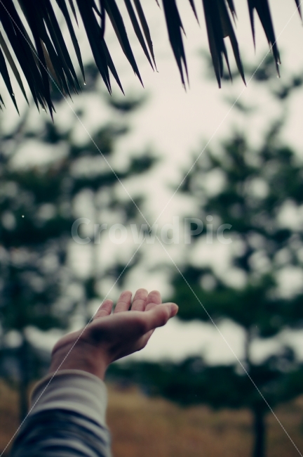 손,비,비오는날,흐린날,흐림,날씨,감성,감성사진,hand,rain,rainy,rainyday,비,비오는날,rain,rainy,사람,인물,인간,human,person,감성,sensible,feeling