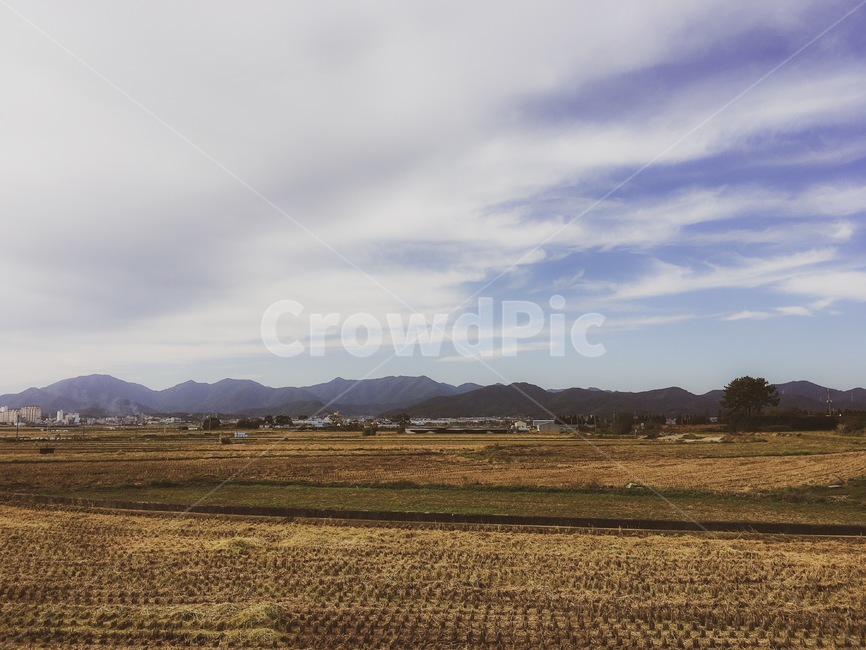 nature,자연,outdoors,옥외,시골,하늘,밭,농업,농사,agriculture,farming,farming industry