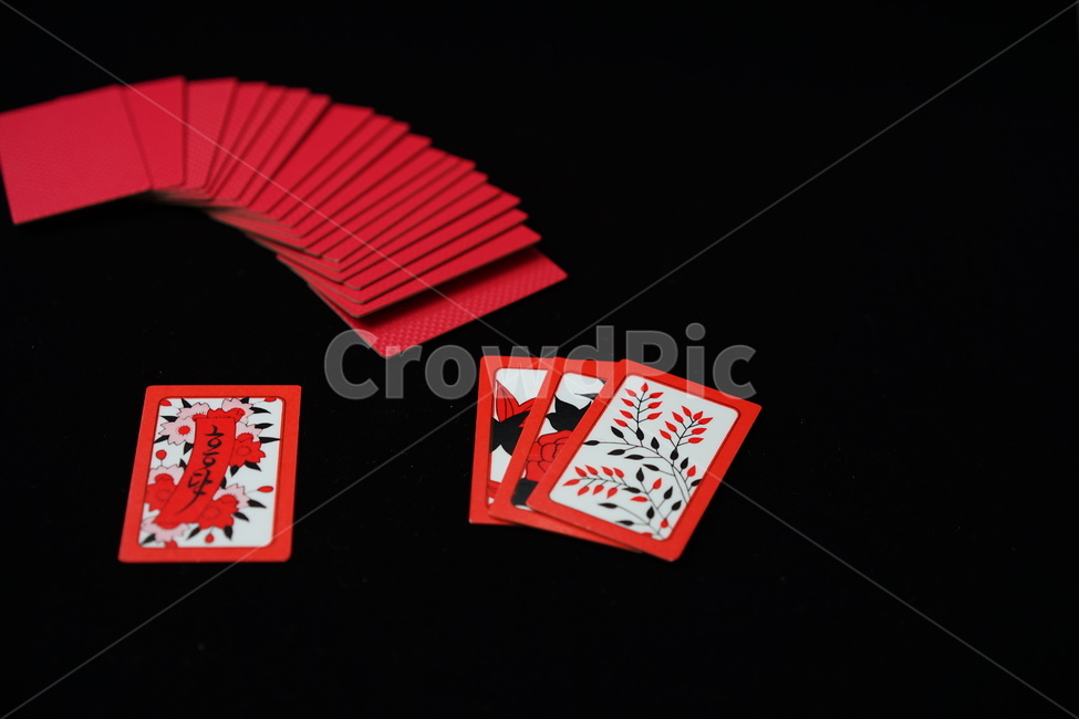 화투,고스톱,게임,놀이,도박,카드,카드게임,card,화투패,화투장,한국전통,한국문화,korean traditional,korean culture,게임,오락,놀이,game,play