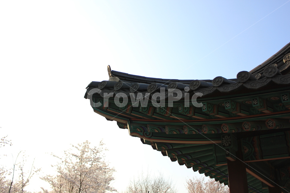 한옥,처마,파랑,전통,우리나라,한국,감성,건물,건축,hanok