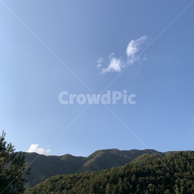 자연,nature,tree,나무,산,자연,풍경,nature,landscape