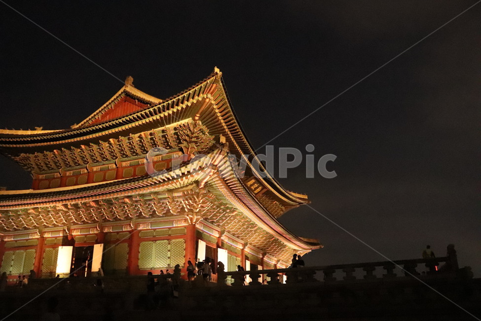 night,scenery,roof tile,Gyeongbokgung Palace,night opening,seoul,korea,gyeongbokgungpalace,nightscape,tradition,landmark,Korea,architecture
