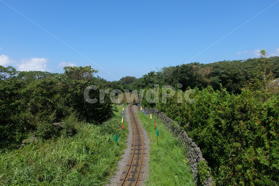 숲,자연,철도,기차길,하늘,forest,풍경,배경화면,자연,풍경,nature,landscape,railway,rail,레일,transportation,교통,train track,기찻길,gravel,자갈,dirt road,흙길,road,도로
