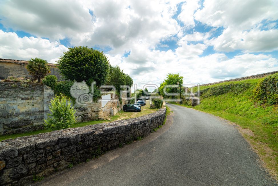 유럽,europe,프랑스,france,생떼밀리옹,saintémilion,saintemilion,와인마을,winevillage,세계문화유산,worldheritage,보르도,bordeaux,프랑스남부,마을,villige,감성,느낌,경치,landscope,자연,nature,asphalt,아스팔트,road,도로