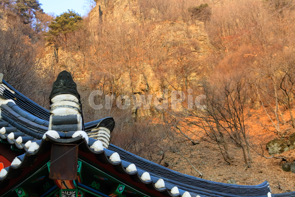 청량사,불교,건축물,종교,환경,한국전통,한국문화,korean traditional,korean culture,건축물,건물외관,exterior,building,structure,architecture,construction