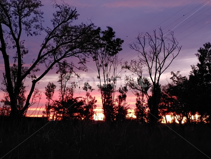 실루엣,silhouette,nature,자연,outdoors,옥외,황혼,sunset,일몰,dawn,새벽,redsky,붉은하늘,하늘,나무,나무그림자,한강,해질녘,저녁,노을