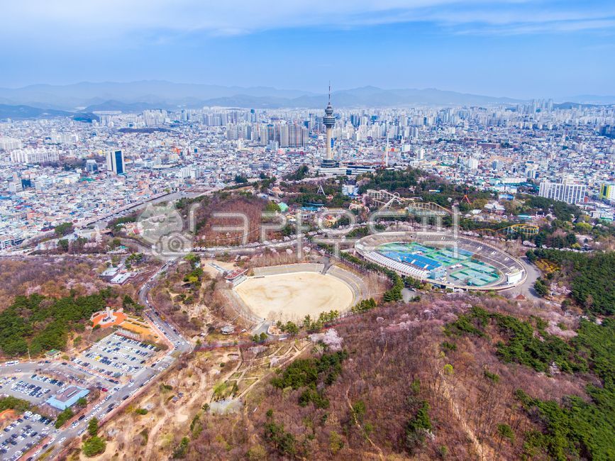 두류공원,벚꽃,봄,계절,공원,꽃,대구,대구시,도시,도시풍경,야외,실외,타워,운동장,경기장,하늘,광장,산,빌딩