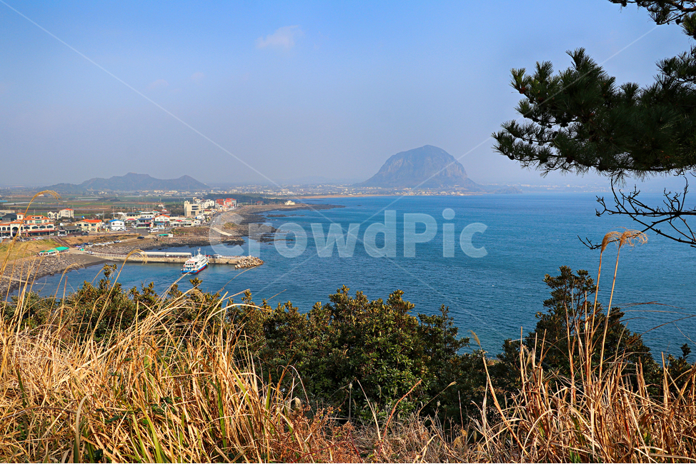 제주도,송악산,송악산둘레길,풍경,둘레길,자연,옥외,outdoors,nature,바다,해안선,sea,자연,풍경,nature,landscape