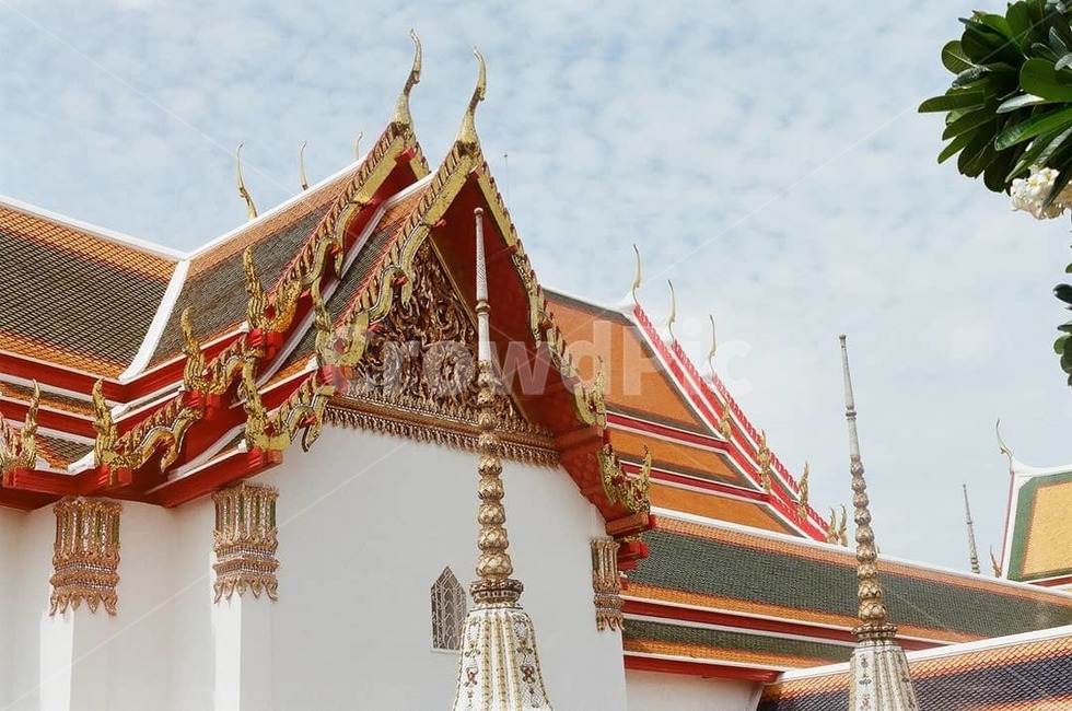 태국,필름카메라,필름,왓포사원,사원,architecture,건축물,building,건물,신사,temple